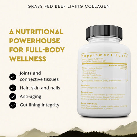 Ancestral Supplements Living Collagen Vitamins & Supplements Ancestral Supplements