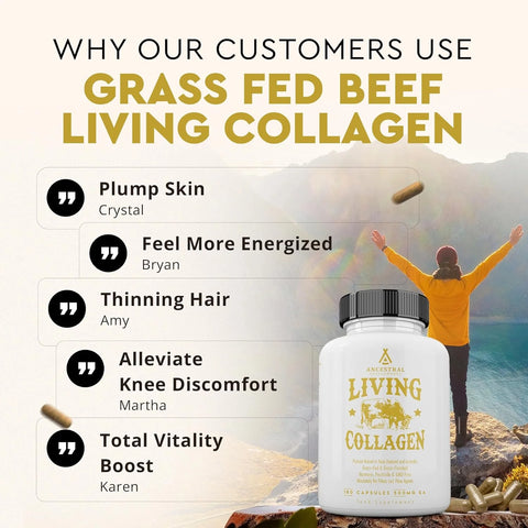 Ancestral Supplements Living Collagen Vitamins & Supplements Ancestral Supplements