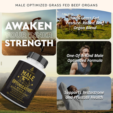 Ancestral Supplements MOFO: Male Optimization Formula with Grass Fed Beef Organs Vitamins & Supplements Ancestral Supplements