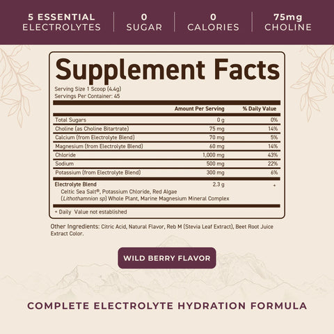 Ancestral Electrolytes Wild Berry Electrolytes Ancestral Supplements