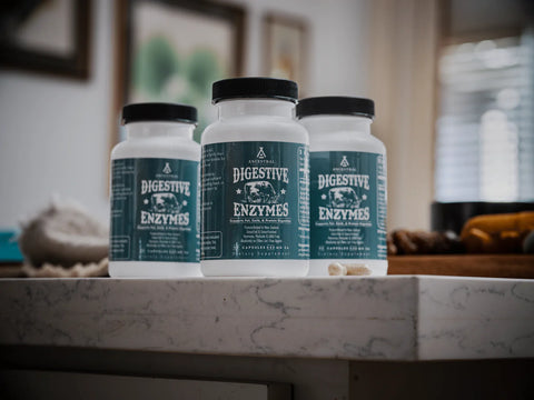 Ancestral Supplements Digestive Enzymes