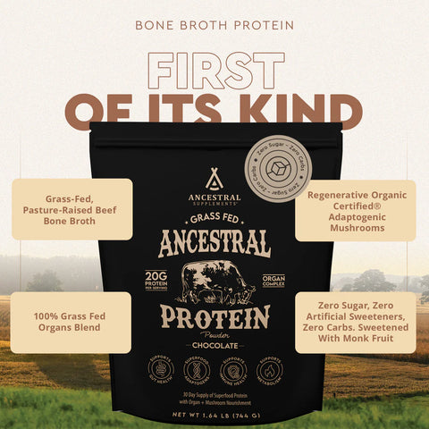 Grass Fed Protein Powder Chocolate