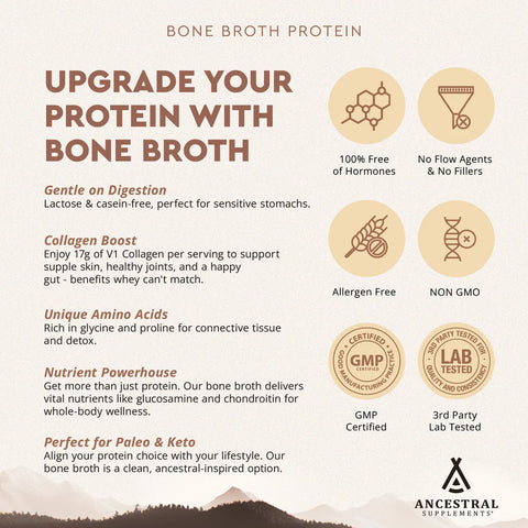 Grass Fed Protein Powder Chocolate