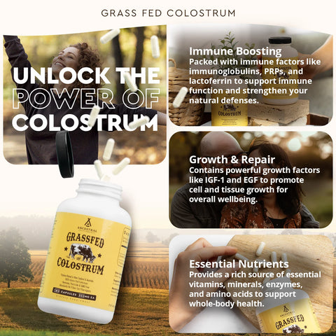 Ancestral Supplements Grass Fed Colostrum Vitamins & Supplements Ancestral Supplements