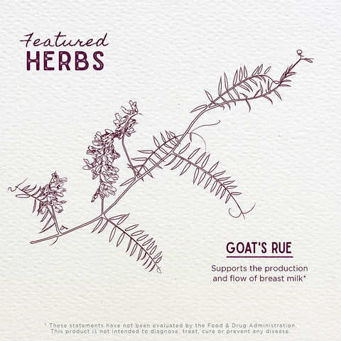 Wishgarden Herbs Goat's Rue Lactation Aid (2oz Pump)