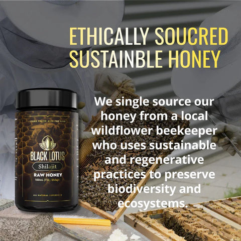 Black Lotus Shilajit Pure Shilajit Honey