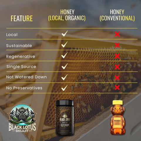 Black Lotus Shilajit Pure Shilajit Honey