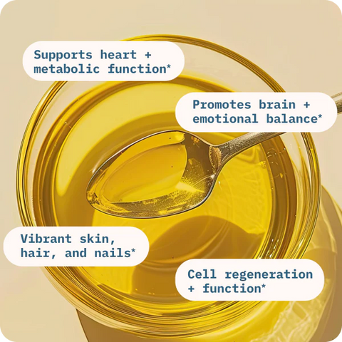 BodyBio Balance Oil (Omega 6 + 3) (16 fl. oz.)