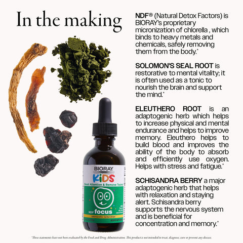 Bioray NDF Focus® (2 oz)