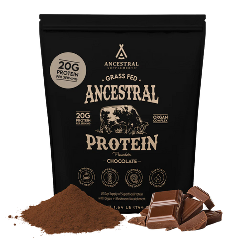 Grass Fed Protein Powder Chocolate
