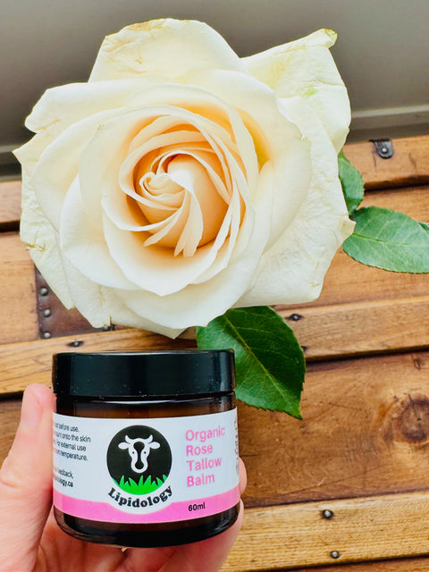 Rose Tallow Balm — Anti-Aging, Ultra Moisturizing | Lipidology Tallow Cream Lipidology