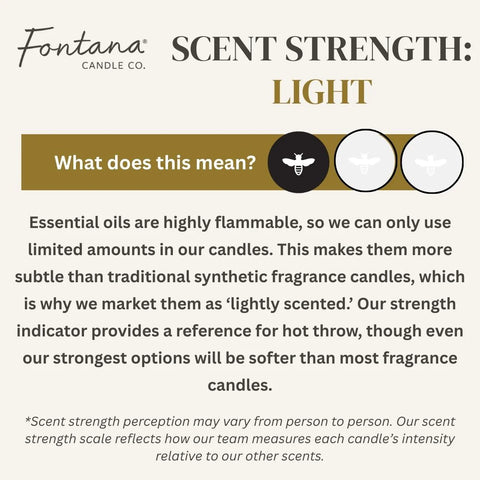 Fontana Candle Co. Pure Vanilla Jar Candle