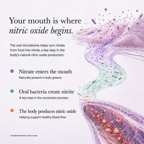 Fygg Nitric Oxide Functional Toothpaste with Nano-Hydroxyapatite - Wild Mint