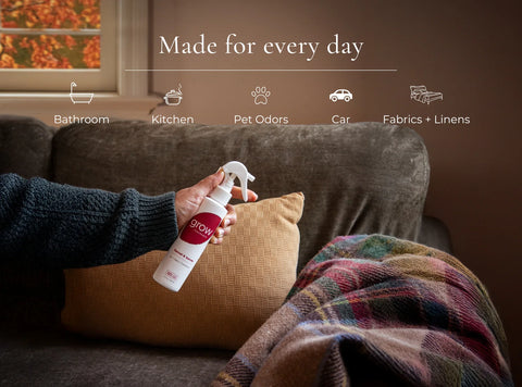 Grow Fragrance Ginger Pumpkin Air + Fabric Spray Air Freshener Goodie Vibes