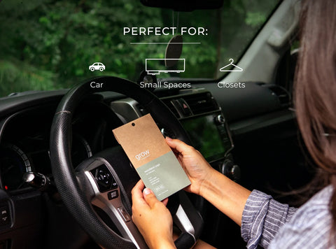 Grow Fragrance Woodland Sage Car Freshener