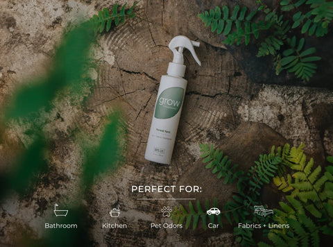 Grow Fragrance Forest Fern Air + Fabric Spray