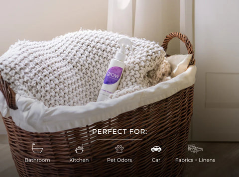 Grow Fragrance Lavender Blossom Air + Fabric Spray