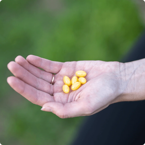 Heart and Soil Firestarter Dietary Supplement Heart and Soil