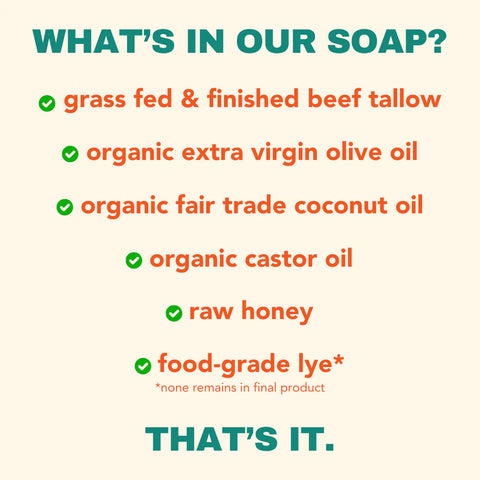 Health y Sol Tallow & Honey Liquid Soap - *Seasonal* Candy Cane Liquid Soap Health y Sol