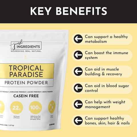 Just Ingredients Tropical Paradise Protein Powder Protein Powder Goodie Vibes