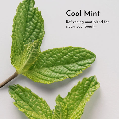 Just Ingredients Remineralizing Tooth Powder (Mint)
