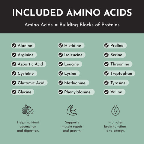 Just Ingredients Vegan Mint Chocolate Protein Powder