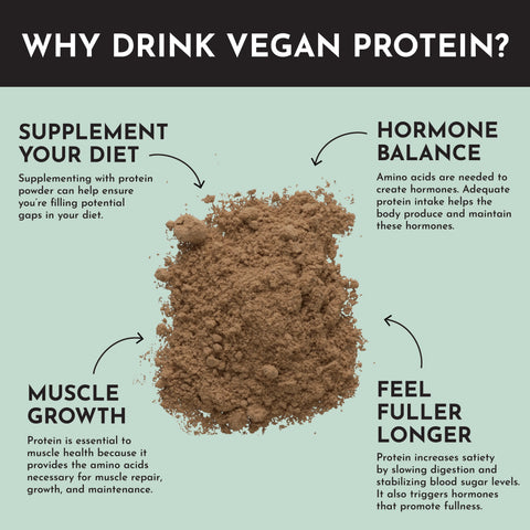 Just Ingredients Vegan Mint Chocolate Protein Powder