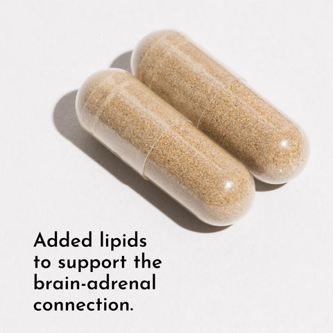 Just Ingredients Adrenal Complex Adrenal Complex Just Ingredients