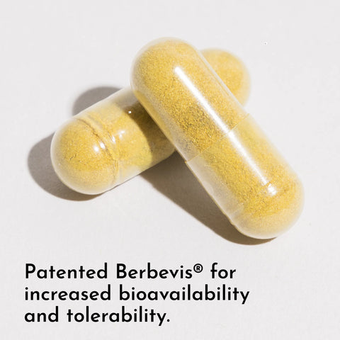 Just Ingredients Berberine Supplement Dietary Supplement Just Ingredients