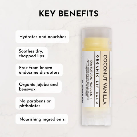 Just Ingredients Coconut Vanilla Organic Lip Balm Lip Balms Just Ingredients