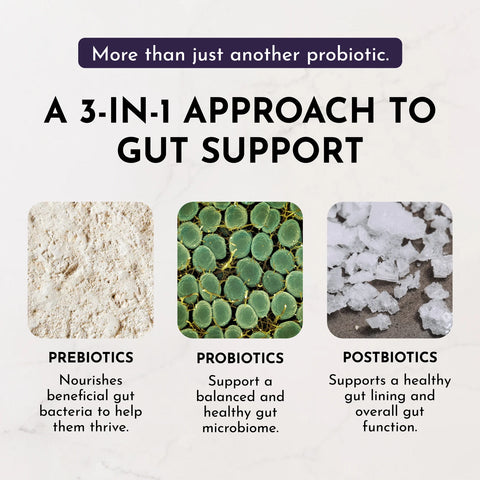 Just Ingredients Elderberry Lemonade 3-In-1 Probiotic Complex Probiotic Complex Just Ingredients