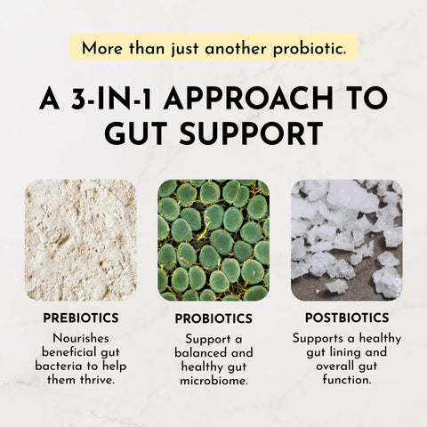 Just Ingredients Lemon Ginger 3-In-1 Probiotic Complex Probiotic Complex Just Ingredients
