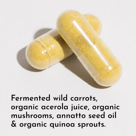 Just Ingredients Multivitamin Supplement Multivitamin Supplement Just Ingredients
