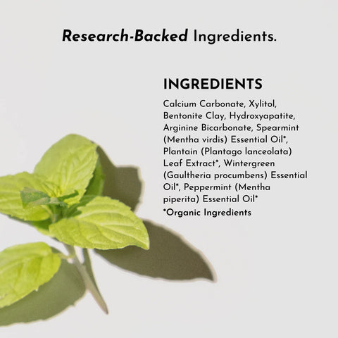 Just Ingredients Sensitive Tooth Powder, Mint Toothpaste Just Ingredients