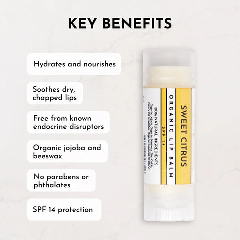Just Ingredients Sweet Citrus SPF 14 Lip Balm Lip Balms Just Ingredients
