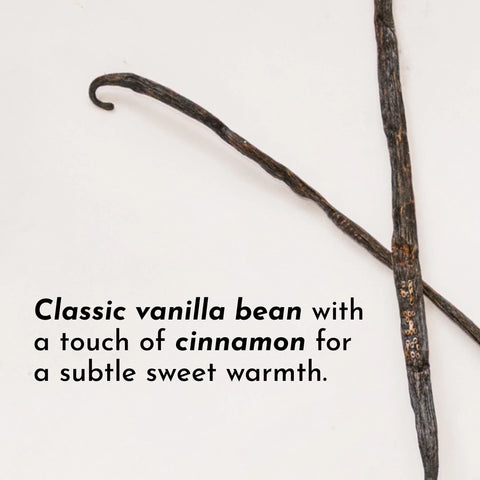 Just Ingredients Vanilla Bean Protein Powder Protein Powder and Collagen Just Ingredients