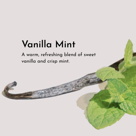 Just Ingredients Vanilla Mint Body Lotion Body Lotion Just Ingredients