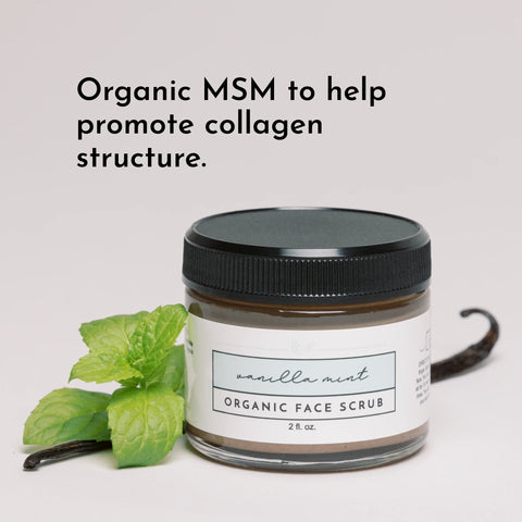 Just Ingredients Vanilla Mint Organic Face Scrub Face Scrub Just Ingredients