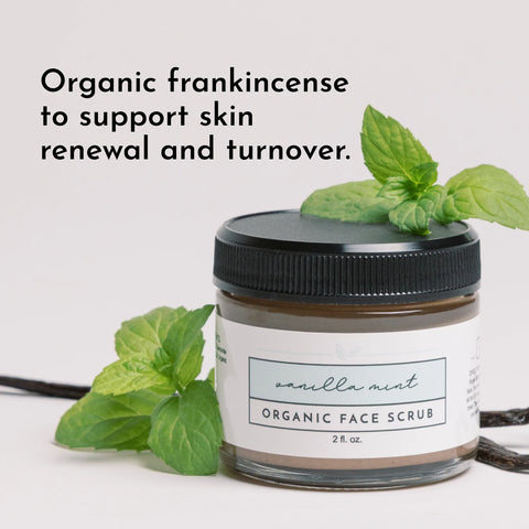 Just Ingredients Vanilla Mint Organic Face Scrub Face Scrub Just Ingredients
