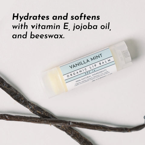 Just Ingredients Vanilla Mint SPF 14 Lip Balm Lip Balms Just Ingredients