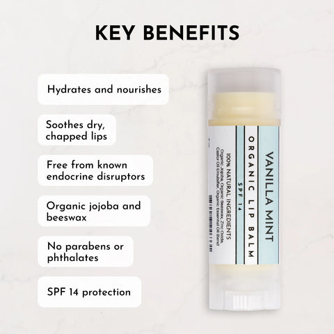 Just Ingredients Vanilla Mint SPF 14 Lip Balm Lip Balms Just Ingredients