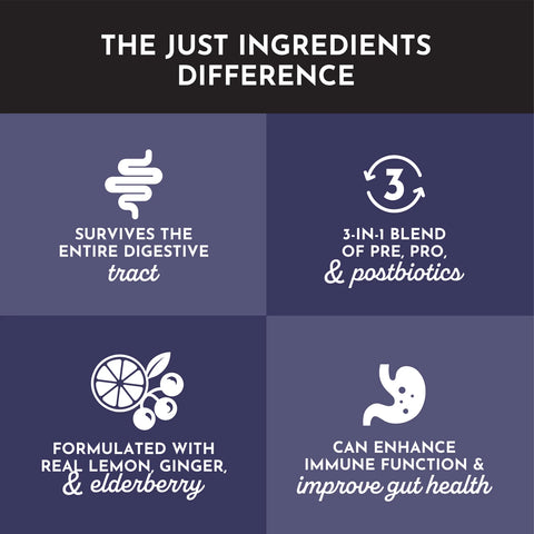 Just Ingredients Elderberry Lemonade