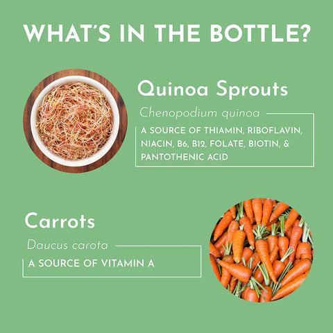 Just Ingredients Multivitamin Supplement