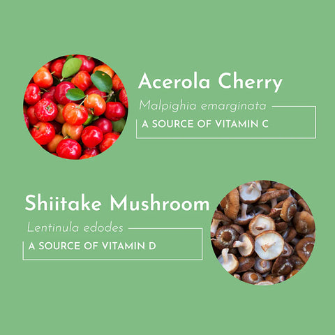 Just Ingredients Multivitamin Supplement