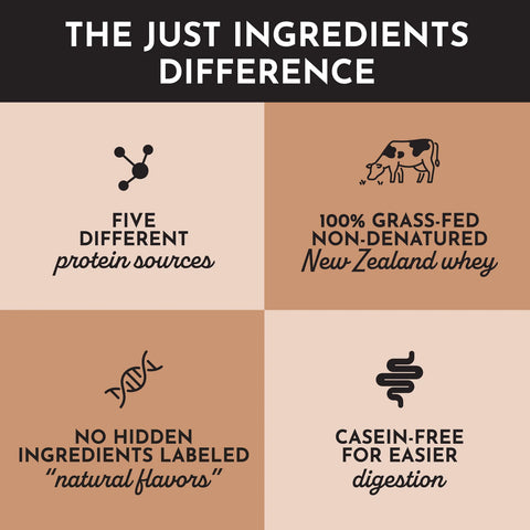 Just Ingredients Roasted Peanut Butter Chocolate Protein Powder