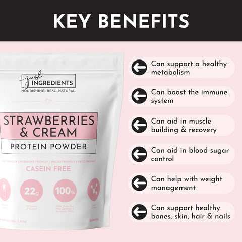 Just Ingredients Strawberries & Cream Protein Powder
