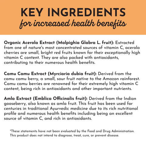 Just Ingredients Whole Food Vitamin C Complex