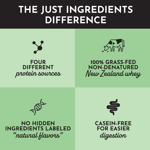 Just Ingredients Matcha Mint Protein Powder