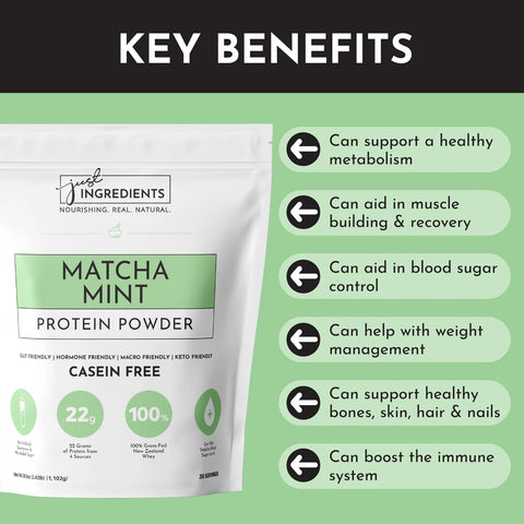 Just Ingredients Matcha Mint Protein Powder