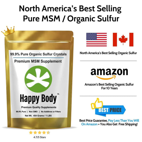 Premium MSM Supplement - 1 LBS Pack